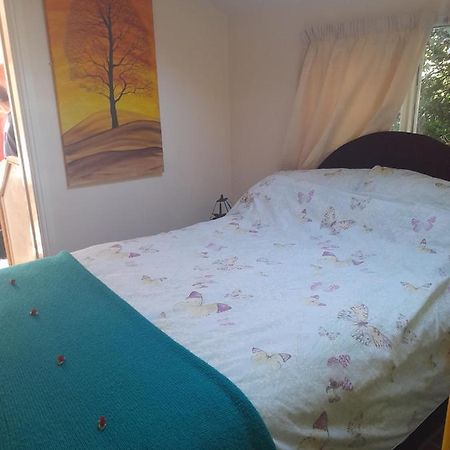 גלסטונברי Janet Hale Studios, Garden Apartment מראה חיצוני תמונה