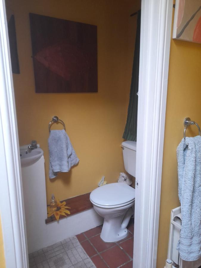גלסטונברי Janet Hale Studios, Garden Apartment מראה חיצוני תמונה