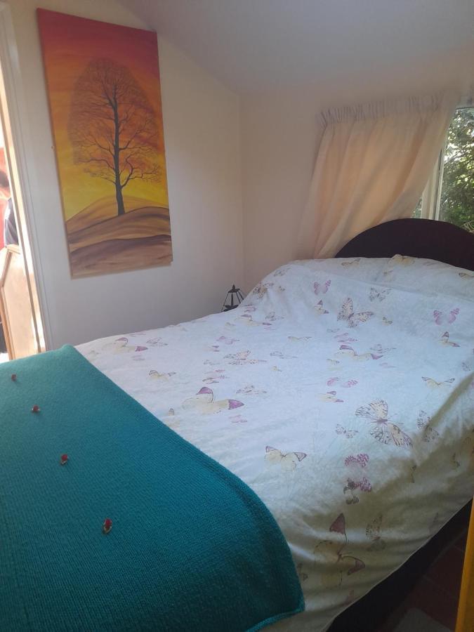 גלסטונברי Janet Hale Studios, Garden Apartment מראה חיצוני תמונה