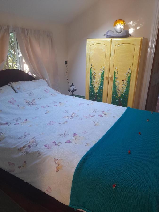 גלסטונברי Janet Hale Studios, Garden Apartment מראה חיצוני תמונה