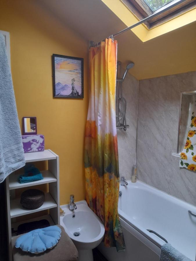 גלסטונברי Janet Hale Studios, Garden Apartment מראה חיצוני תמונה